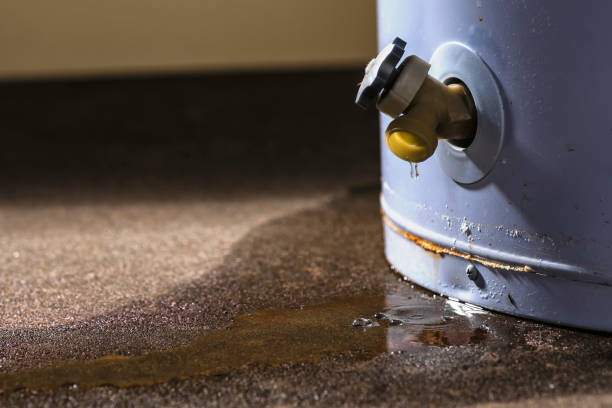Best Water damage restoration near me  in Nevada, TX