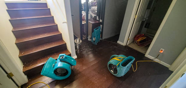 Best Ceiling water damage repair  in Nevada, TX