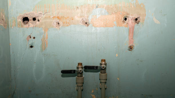 Best Water damage mitigation services  in Nevada, TX