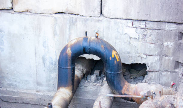 Best Water damage cleanup near me  in Nevada, TX